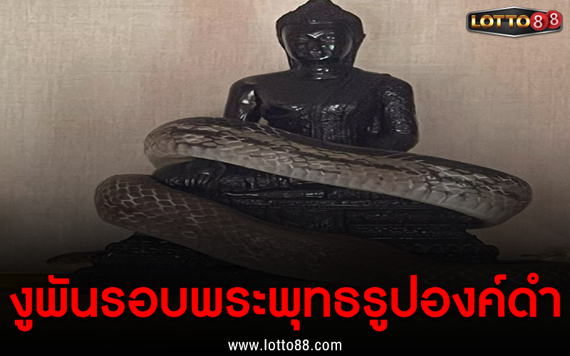 งูพันแน่นรอบ พระพุทธรูปองค์ดำ
